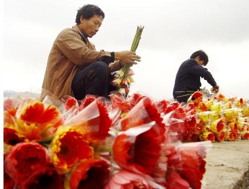 贵阳市乌当区东风镇麦壤村花农在整理包装花卉,准备运往外地销售